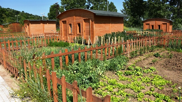 Yıllık kirası 500 TL