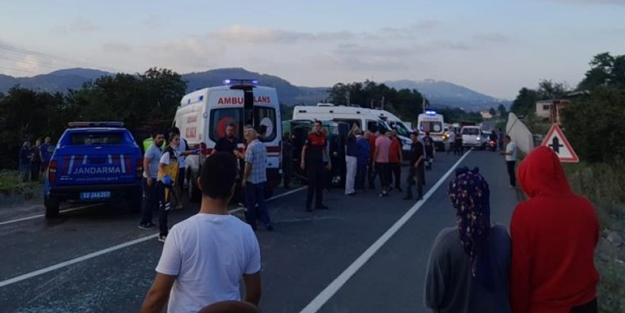 Yine başıboş köpek: 17 kişi hastaneye kaldırıldı!