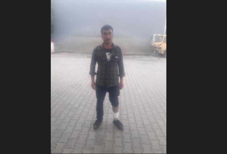 Yine bir köpek skandalı! Başıboş köpeklere çözüm yok mu?