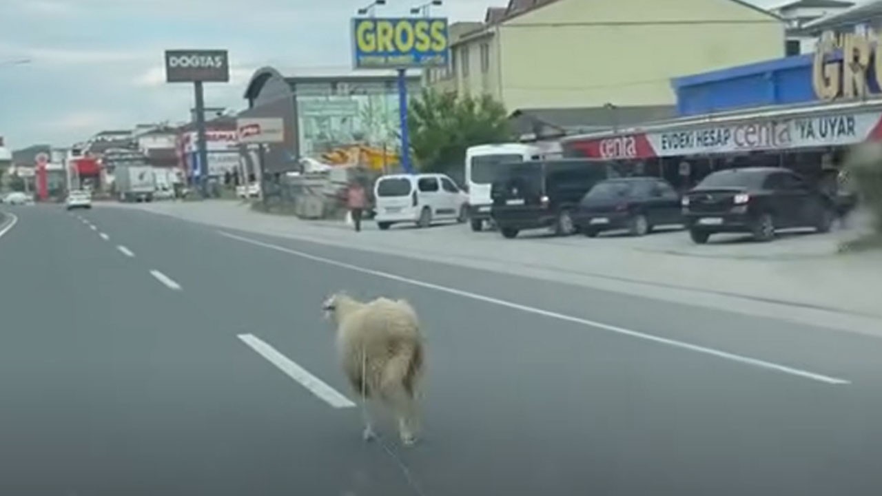 Yine kurban bayramı yine benzer görüntüler