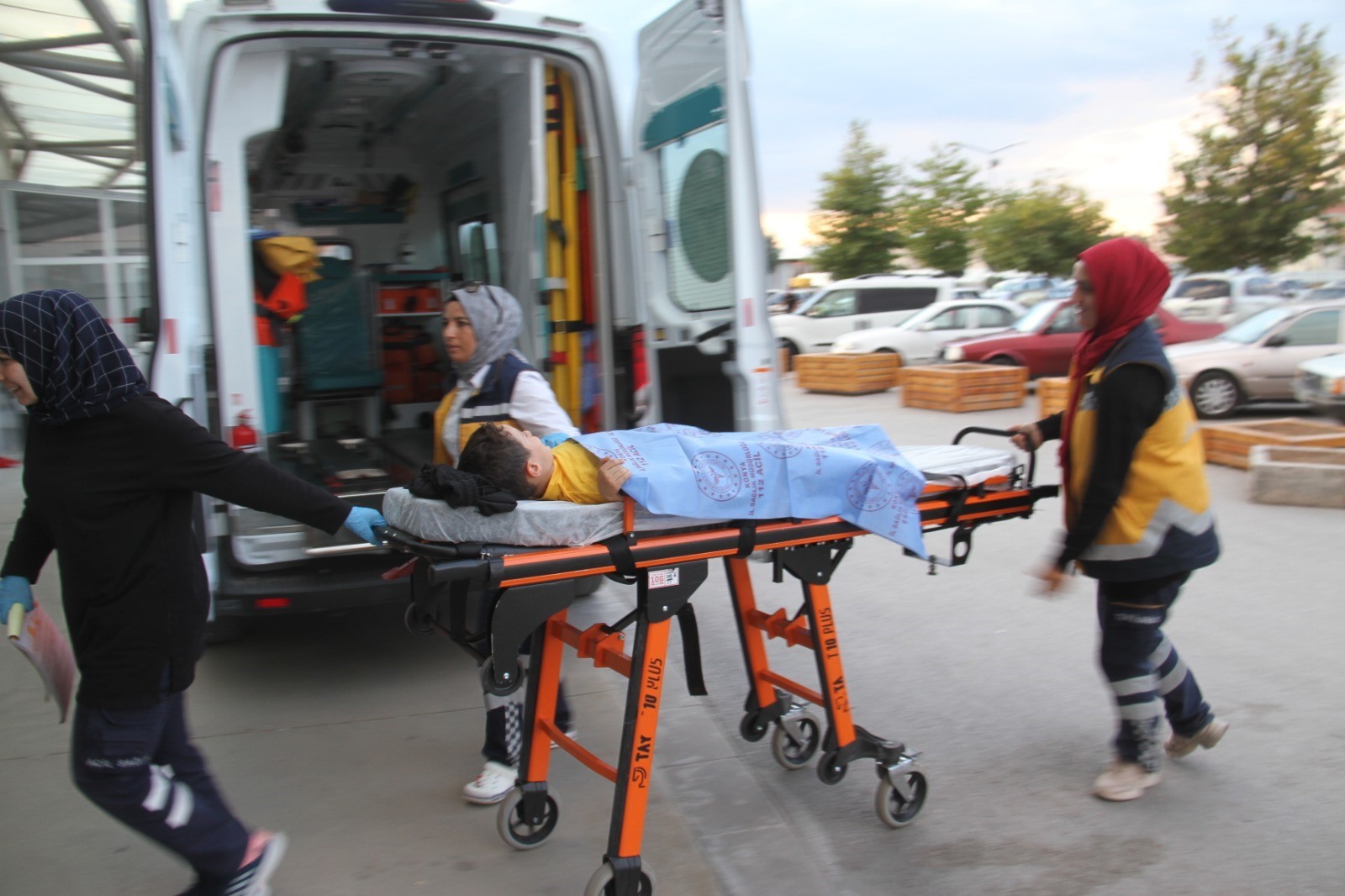 Başıboş sokak köpeği dehşeti!