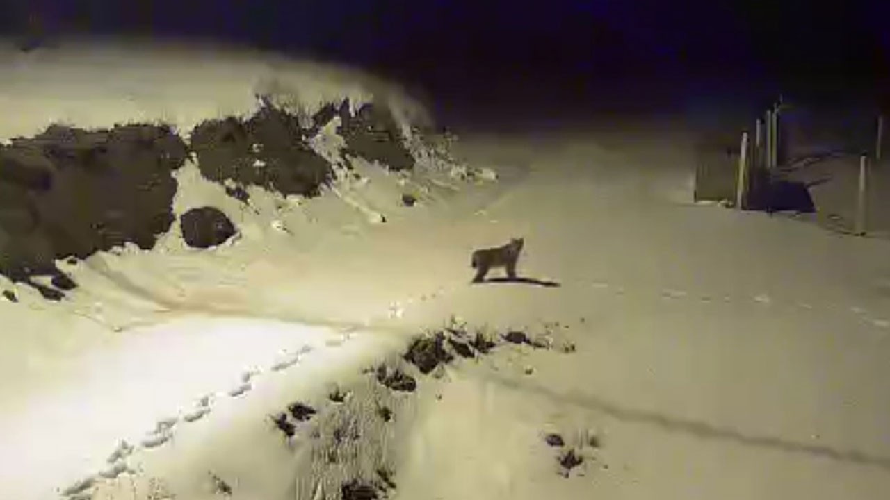 Bu görüntü Çorum'da çekildi!