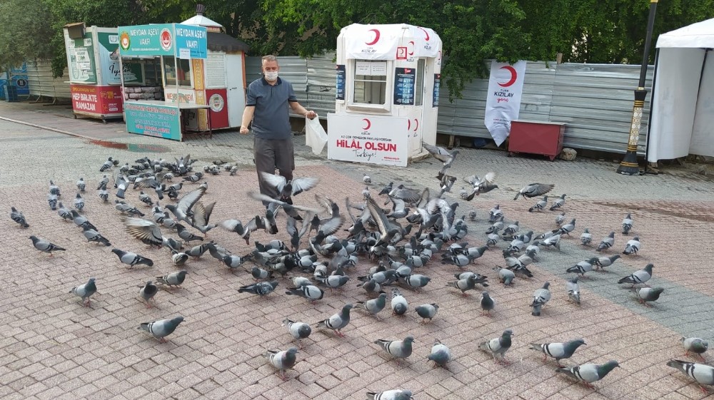 Yiyecek bulmakta güçlük çeken güvercinleri muhabirler yemledi 