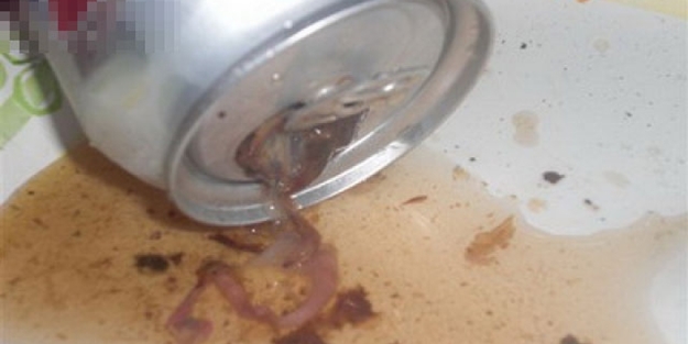 Yiyeceklerden çıkan korkunç şeyler - FOTO