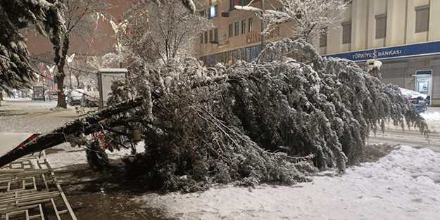 Yoğun kar yağışı ağaç devirdi!