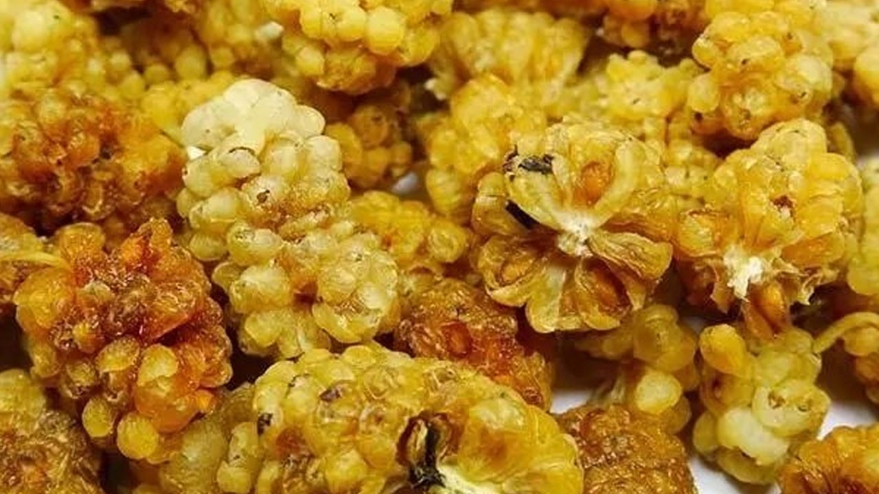 Yoğurtla birlikte tüketin! Bakın ne işe yarıyor!