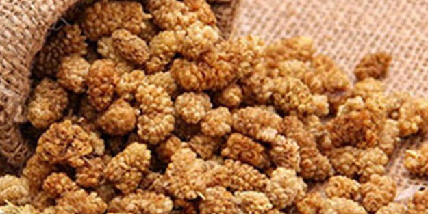 Yoğurtla birlikte tüketin! Bakın ne işe yarıyor...