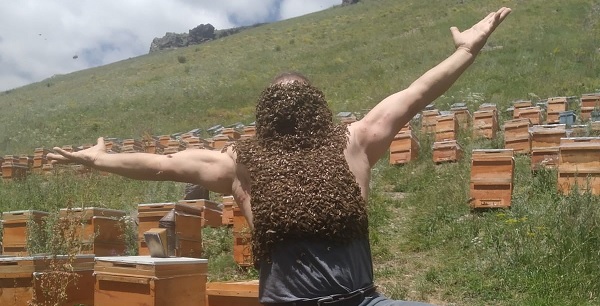 Yok artık daha neler! Karslı arıcıdan şaşırtan şov
