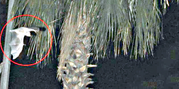 Tedirgin eden haber... Yok artık dedirten görüntüler!