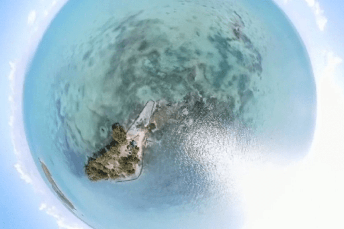 Yok artık! Kendi ülkelerini kurmak için ada satın aldılar