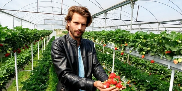 Yok artık... Topraksız serada çilek üretti!