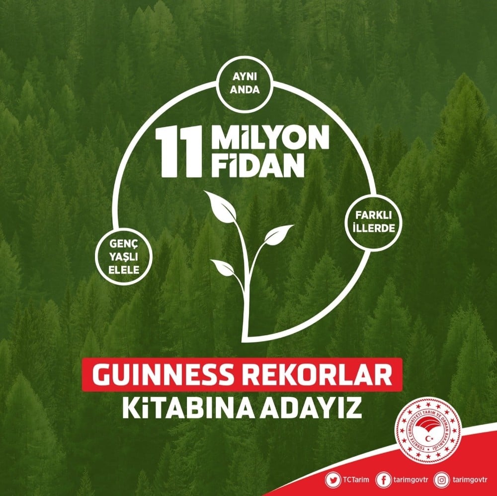 YÖK Başkanı Saraç’tan Guinness’a aday fidan dikme etkinliğine destek 