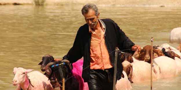 Yok böyle bir yarışma! Denizli'de dikkat çeken görüntüler