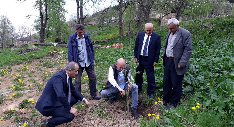 Yok olmadan kurtarıldılar 