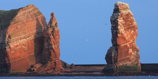 Yok olmak üzereler! Mutlaka görmelisiniz!