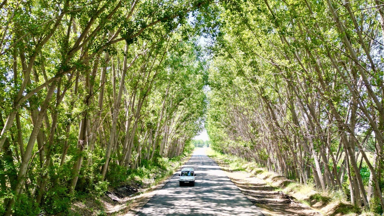 Yol değil adeta tablo! Herkes hayran kalıyor