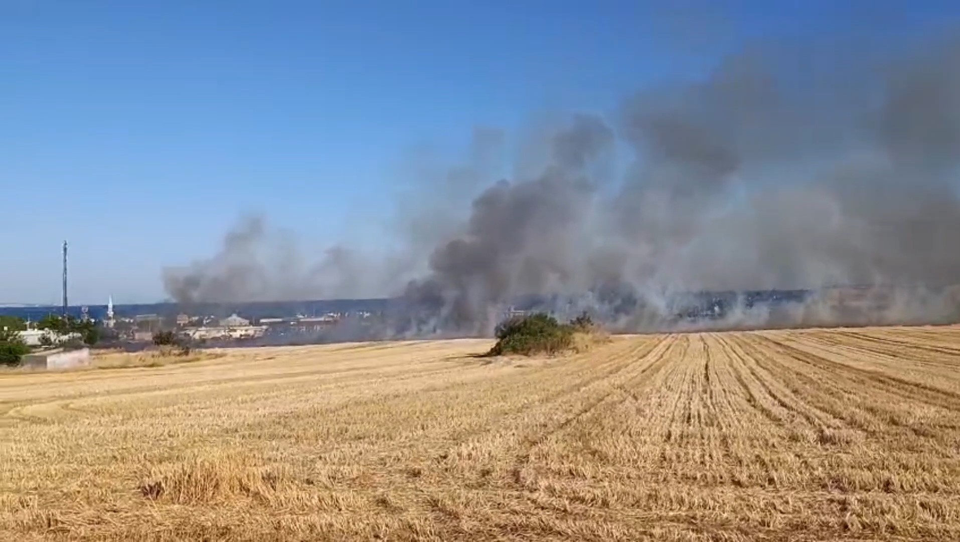 Yol kenarına atıdığı iddia edilen izmarit yangın çıkardı