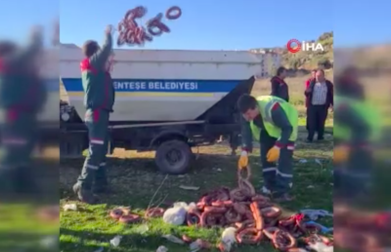 Yol kenarına atılan 100 kilo bozuk sucuk imha edildi