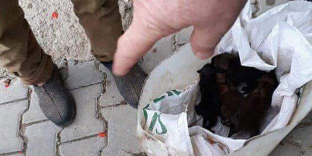 Yol kenarında bulundu! Görenler şoke oldu