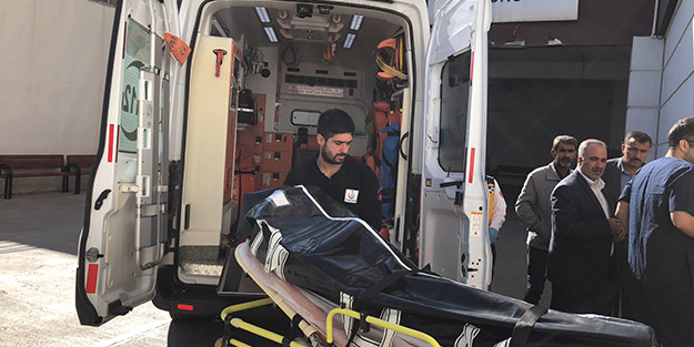 Yol kenarında bulundu, vatandaşlar jandarmaya bildirdi!