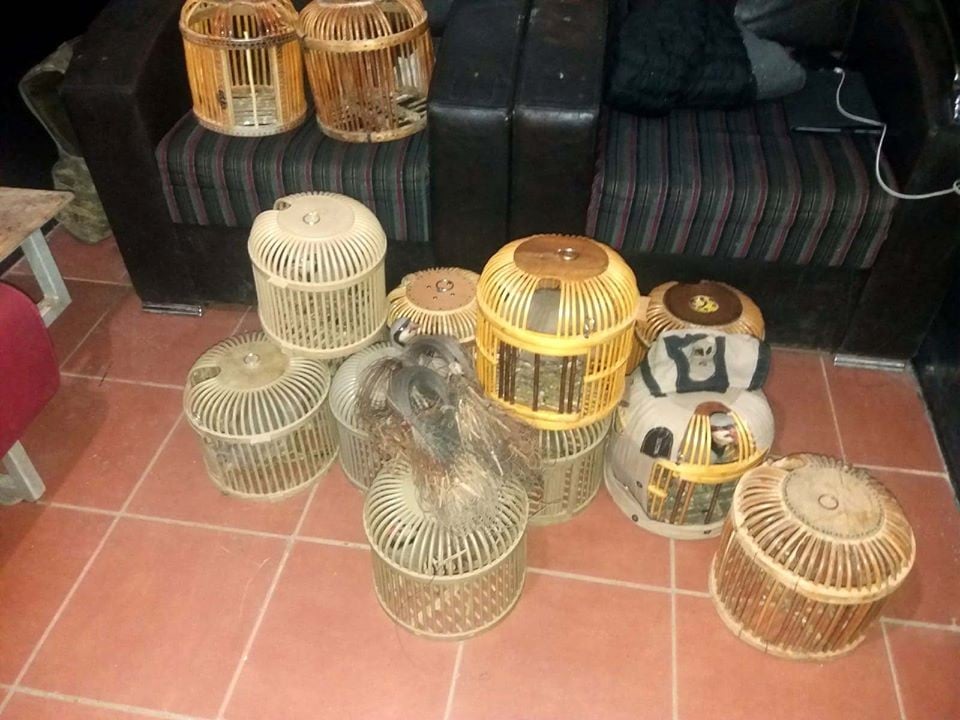 Yol kontrolünde keklik avlamak için kurulan tuzak düzenekleri ele geçirildi 