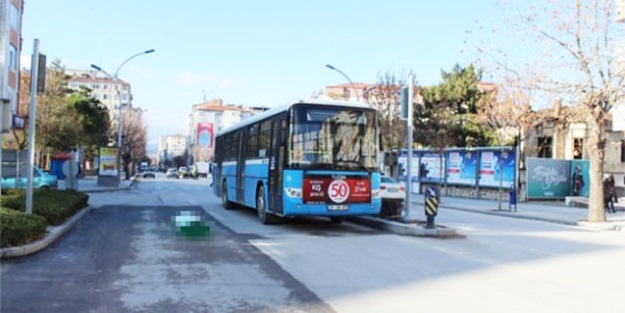 Yol ortasında onu görenler telefona sarıldı