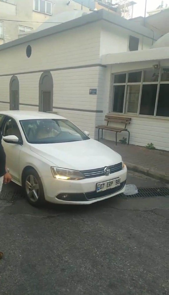 Yol ortasında su içen kediye, sürücüden örnek davranış 