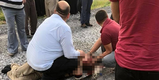 Yol ortasındaki kaplumbağayı kurtarmak istedi...