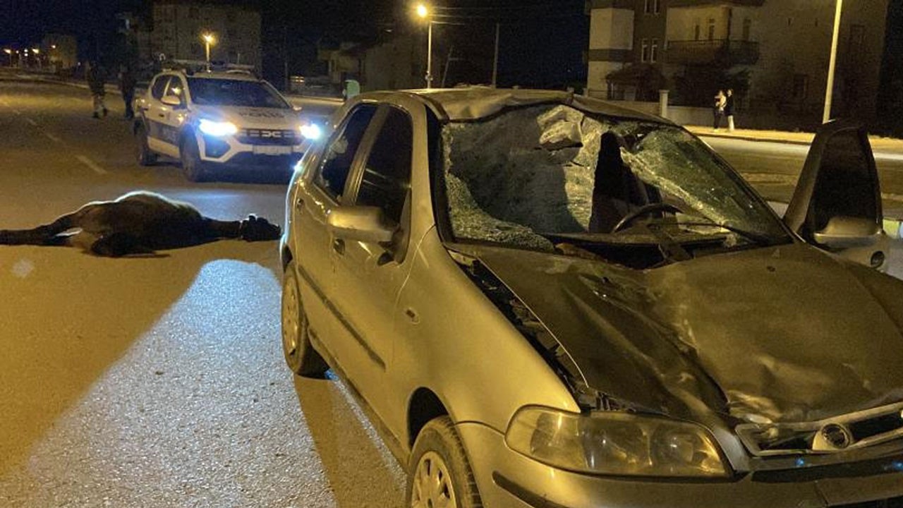 Yola atlayan başıboş ata otomobil çarptı