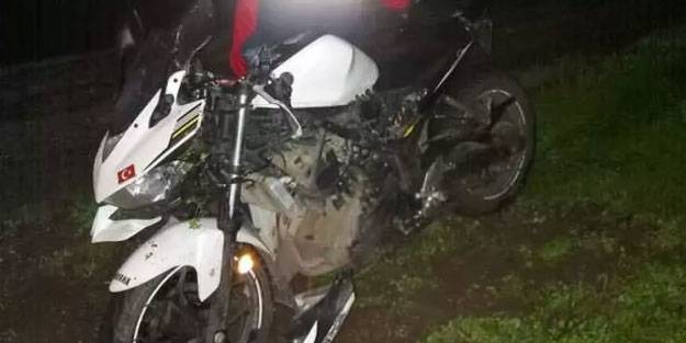 Yola çıkan köpek kazaya sebep oldu