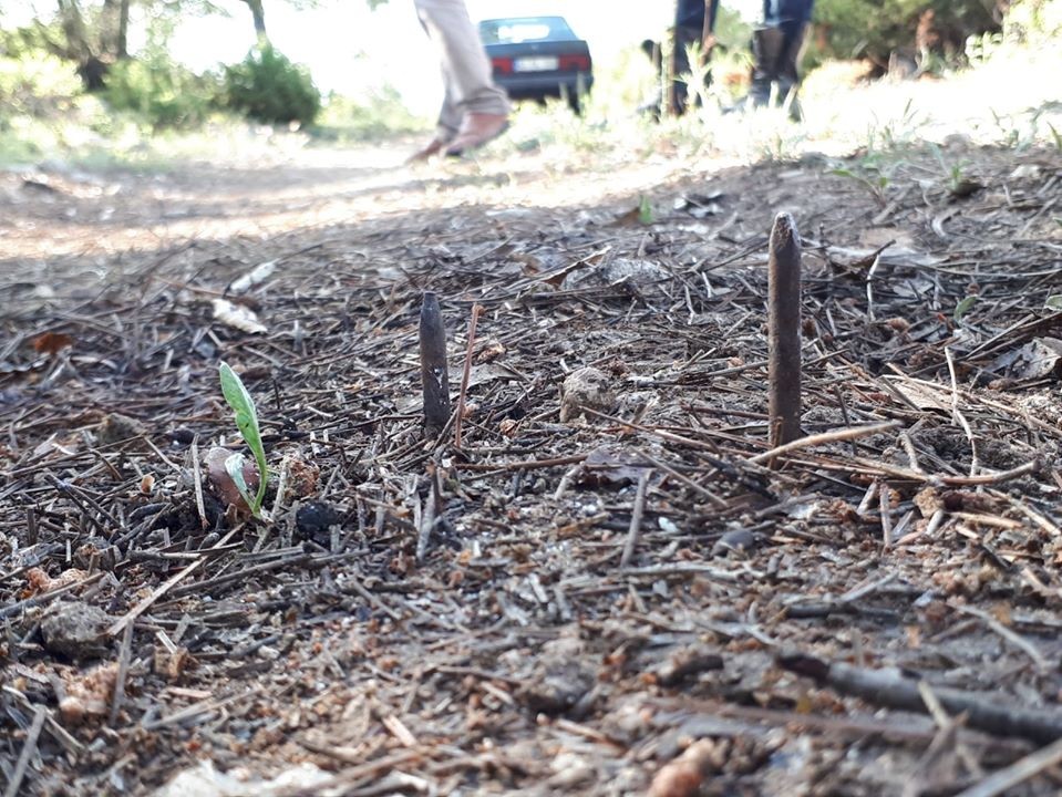 Yola çivi çaktılar 