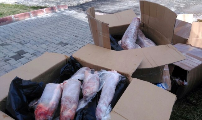 Yolcu otobüsünde 1 ton kaçak et ele geçirildi