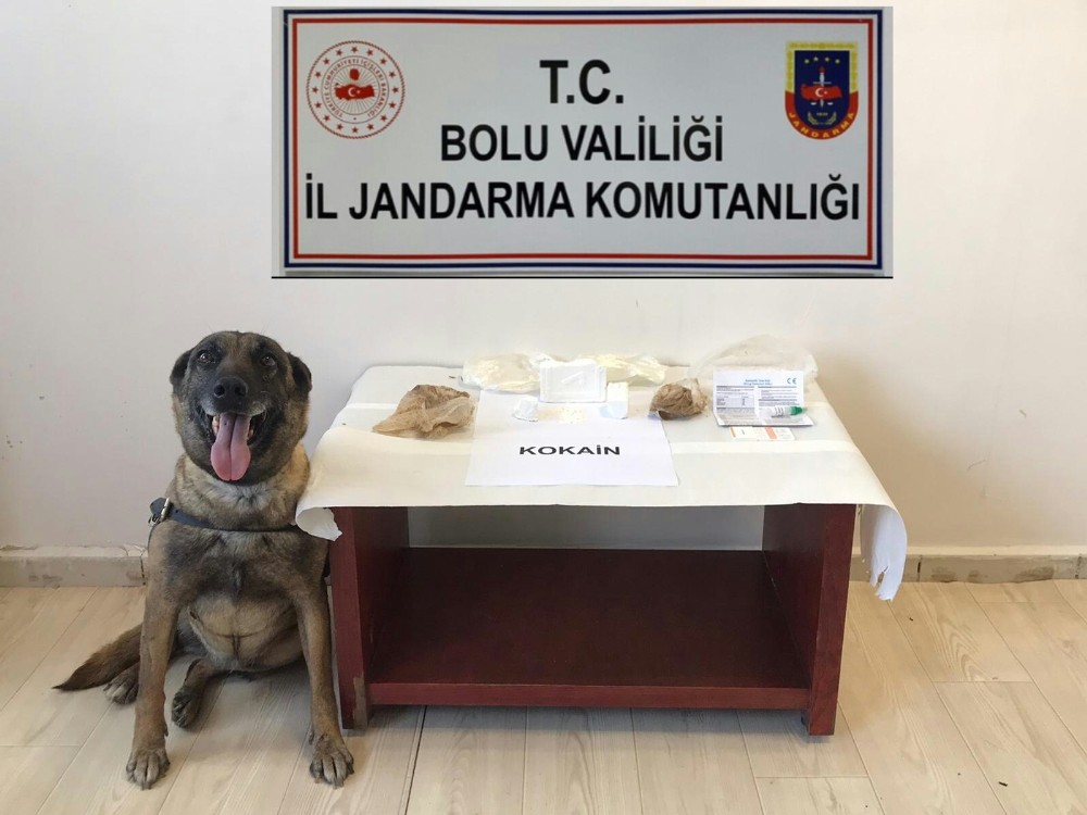 Yolcu otobüsünde 360 gram kokain yakalandı 