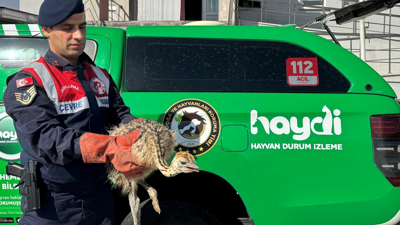 Yolcu otobüsünde ele geçirilenler şaşırttı