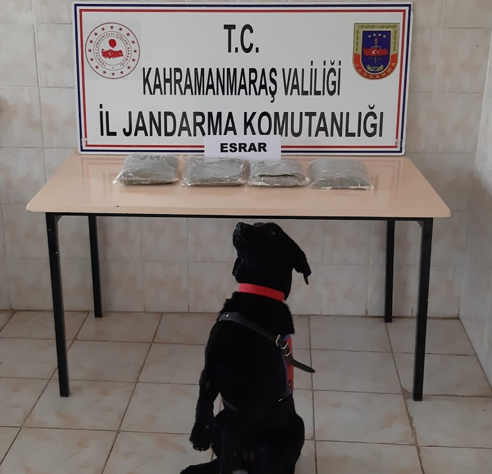 Yolcu otobüsünde uyuşturucu sevkiyatı jandarmaya takıldı 
