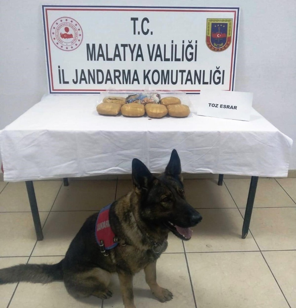 Yolcu otobüsündeki esrarı ‘Kitap’ buldu 