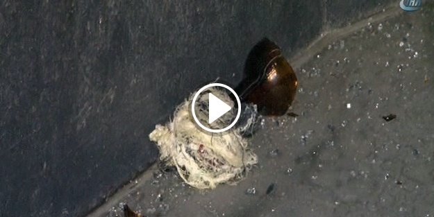 Yolcu otobüsüne molotoflu saldırı