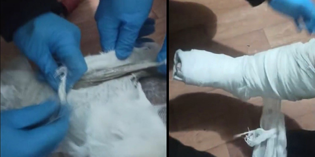 Yolcunun bacağındaki alçıyı açan polisler gözlerine inanamadı!