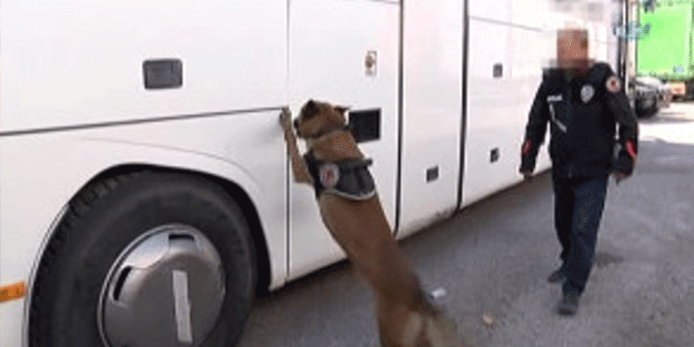 Yolcusuz otobüsten 100 kilo esrar çıktı