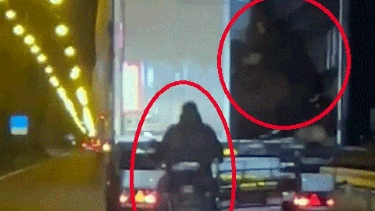 Yolda şok görüntüler! Hareket halindeki tırdan koyun çalmışlardı