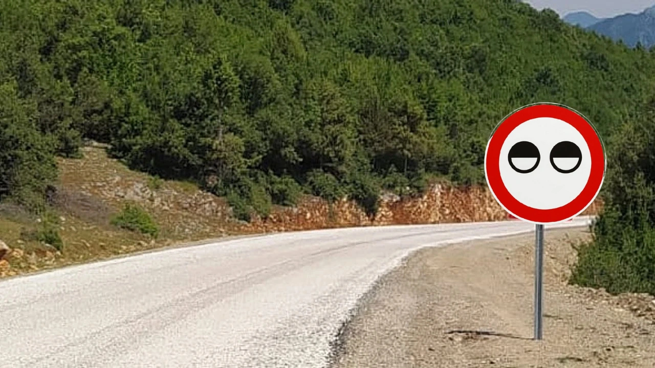 Yollarda gizemli göz tabelası! Sürücüleri uyaran bu işaret hayat kurtarıyor