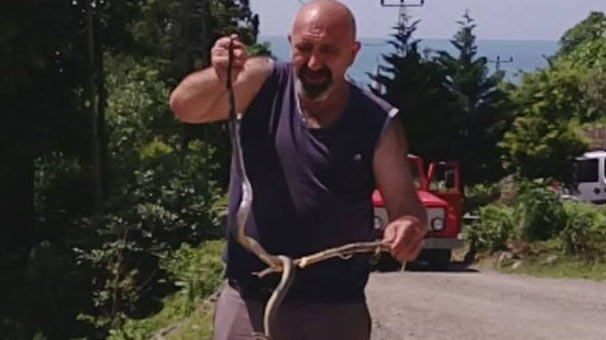 Yoluna çıkan yılanı kurtarmak için her şeyi yaptı