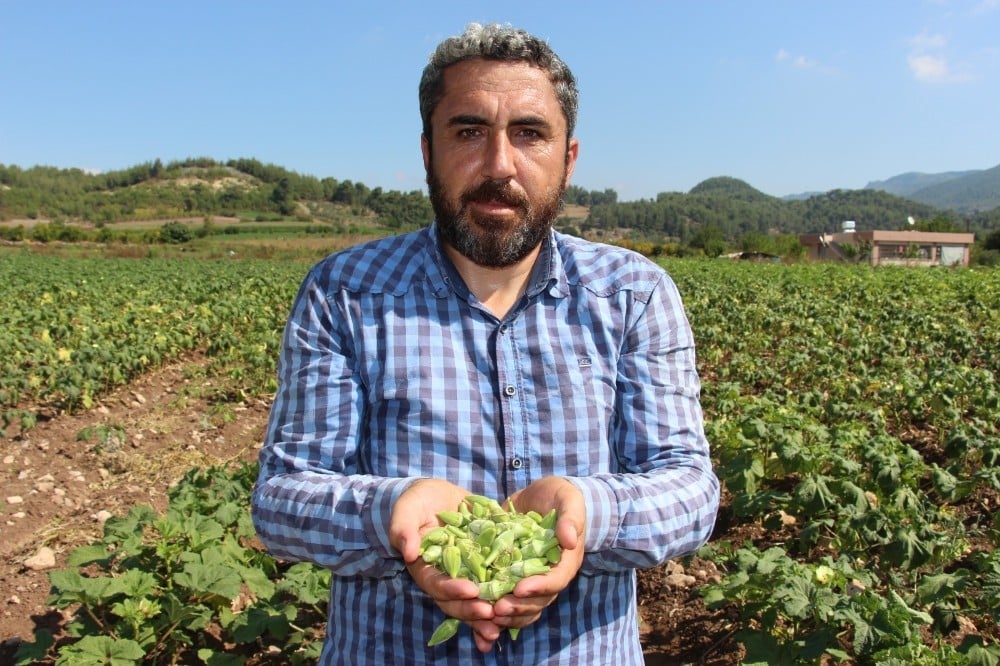Yöneticiliği bırakıp çiftçi oldu, 
