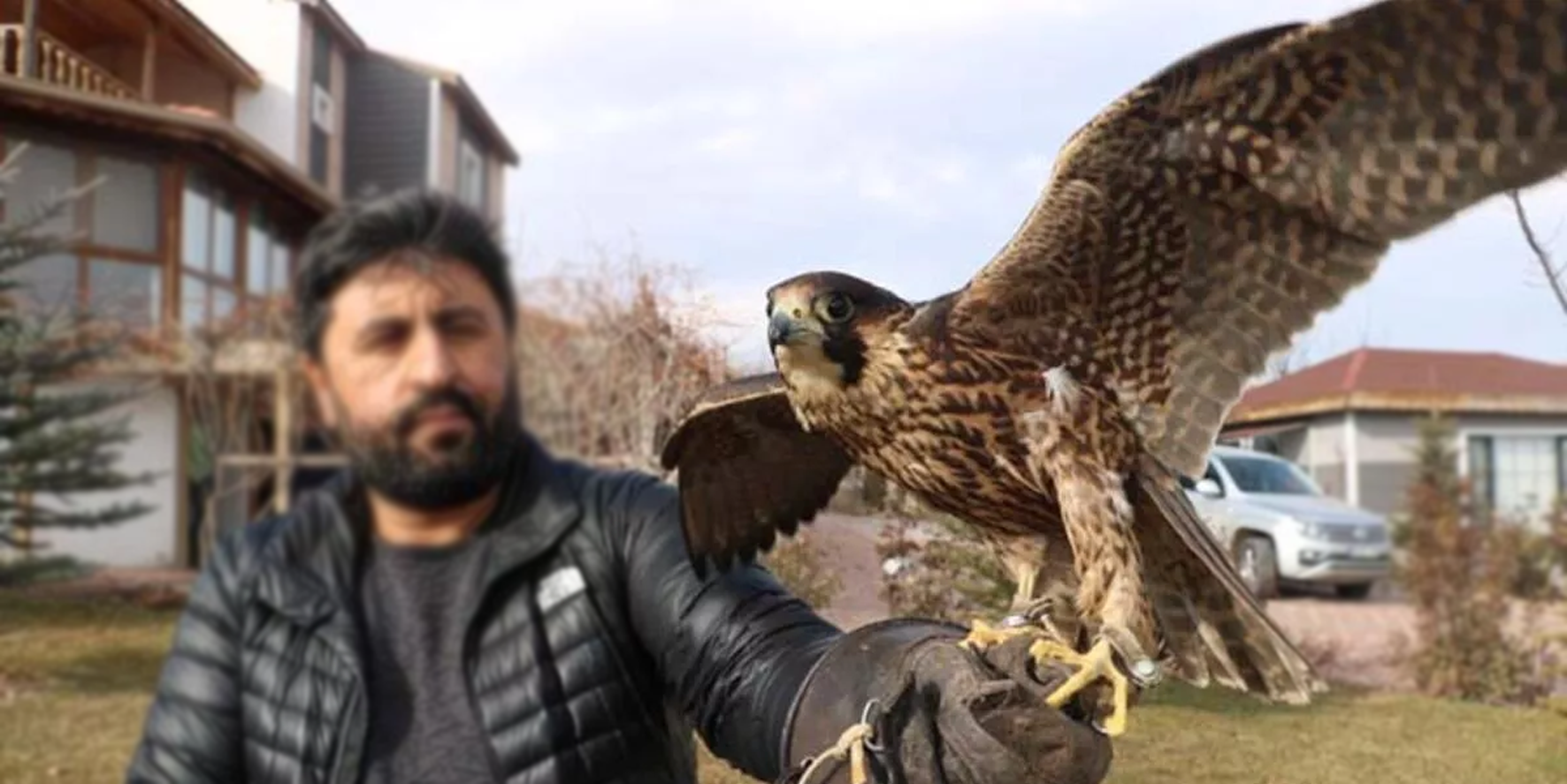 Yönetmelikte değişiklik: Hobi olarak barındırılabilecek av ve yaban hayvanı sayısı 25'e yükseldi