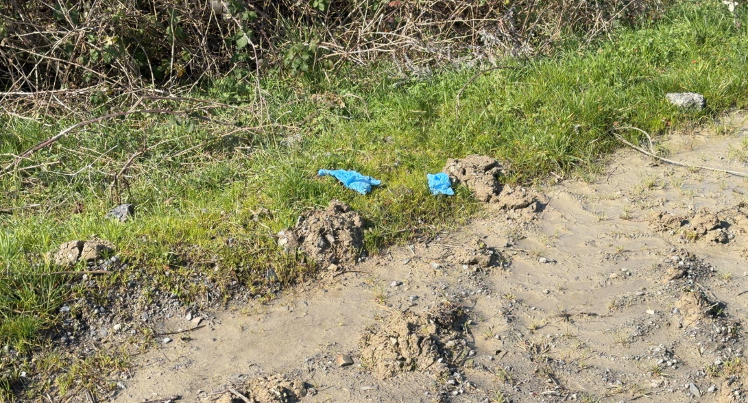 Yong Wang cinayetinde yeni gelişme: Cesedi İstanbul’da bulunmuştu! Vahşetin failleri Çin’de yakalandı