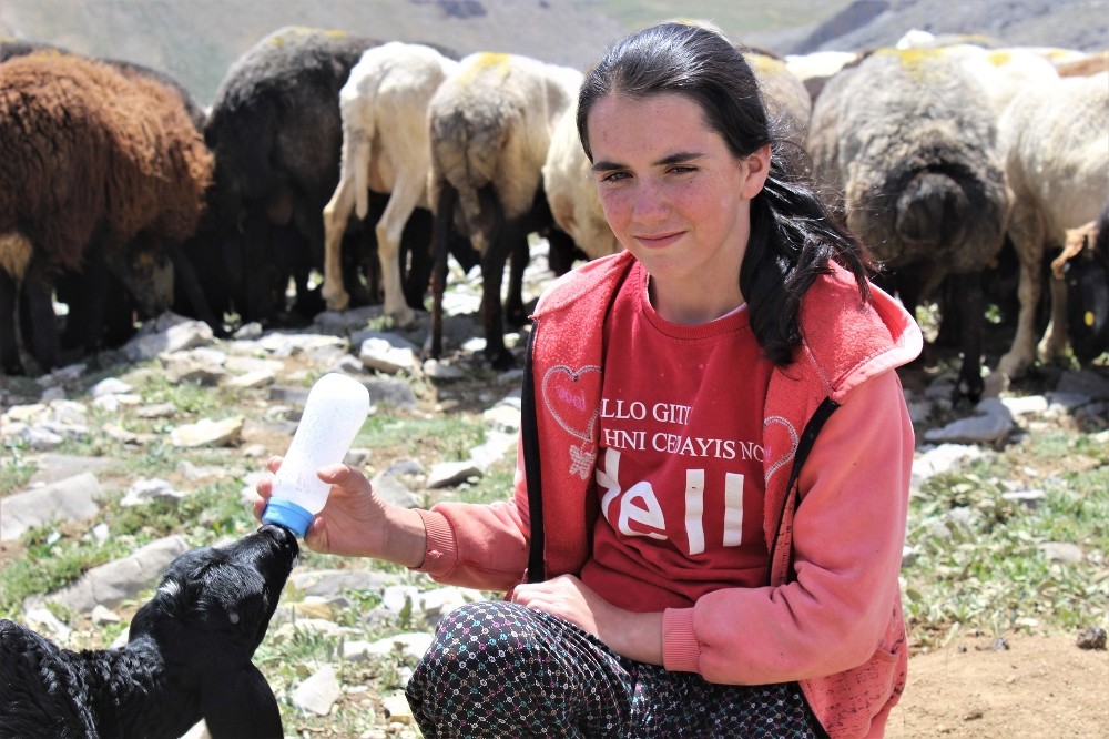 Yörüklerin göç yolları açılıyor 