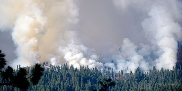 Yosemite Ulusal Parkı'nda yangın!
