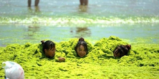 Yosun denizine turistler akın ediyor!