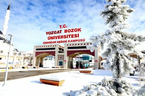 Yozgat Bozok Üniversitesi öğretim üyesi alıyor