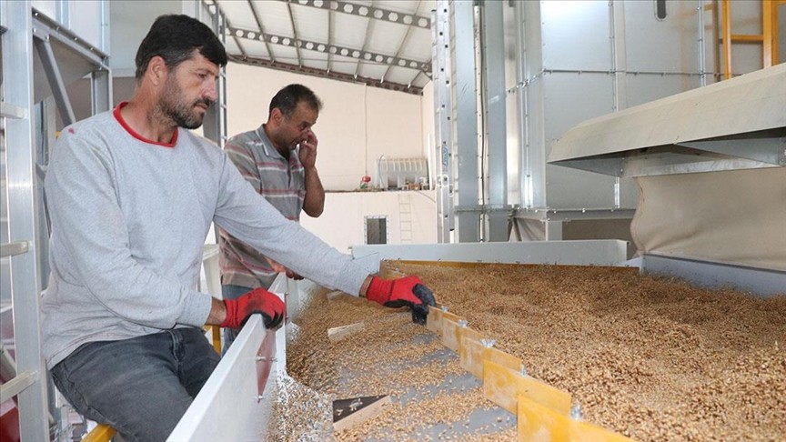 Yozgat çiftçisi KOP desteğiyle yapılan eleme tesisi sayesinde tohum maliyetini düşürüyor